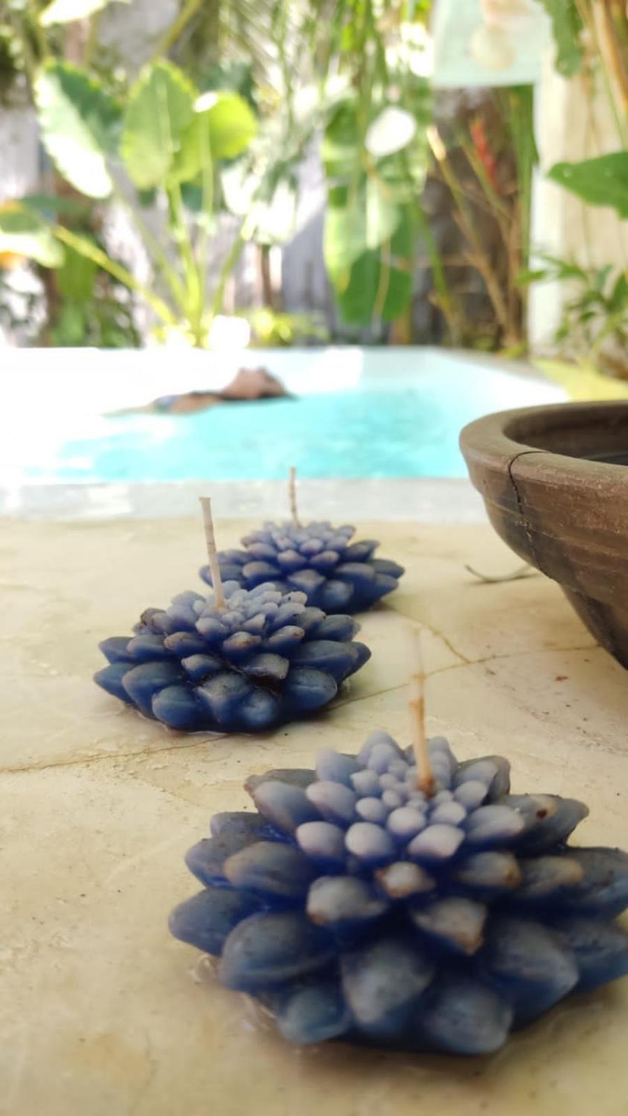 Chale Da Sereia Apart-Hotel Com Cozina Piscina Oasis No Centro De Jericoacoara Zewnętrze zdjęcie